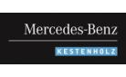 Dealer Logo